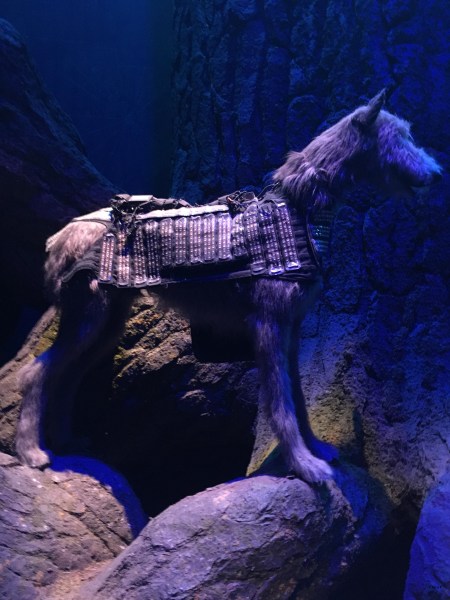 30707428_868689186650247_9215795362357313536_n