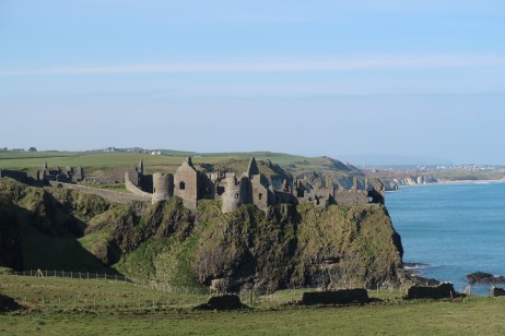 -6807399397200051060-IMG-1102