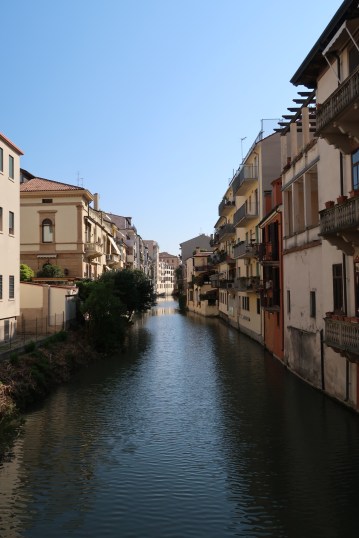 -2023160831034235975-IMG-0799